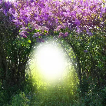

Laeacco Magic Spring Forest Flowers Branch Grassland Photography Backgrounds For Photo Studio Vinyl Custom Photo Backdrops Props