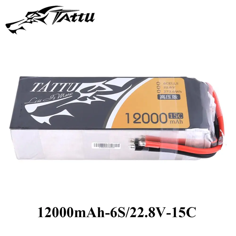 Lipo battery 6s (5)