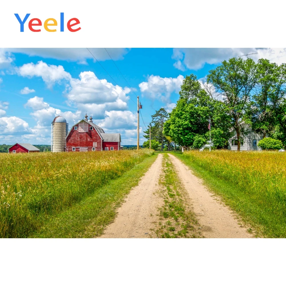 

Yeele Grange Fresh Wheat Field Paths Scene Props Portrait Backgrounds Photography Banner Photographic Backdrops For Photo Studio