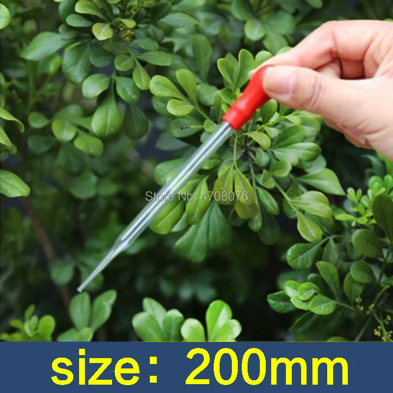 200mm