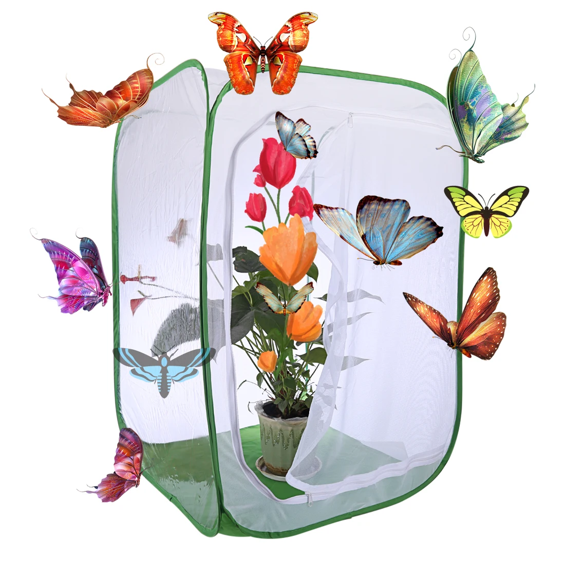 

Large Butterfly Insect Habitat Cage Mesh Terrarium Pop-Up Experiment For For Children Early Learning science toys education kids