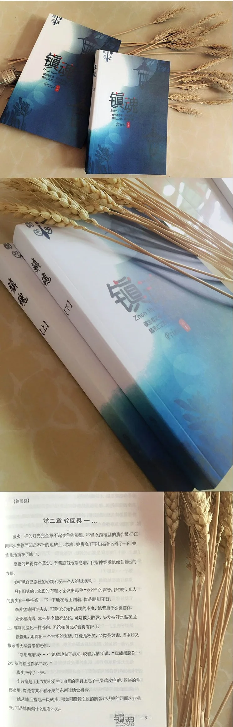 2 книги Zhen Hun Guardian от жреца китайская повесть художественная книга китайская ТВ Драма Программа повесть Чжу и Лонг актер