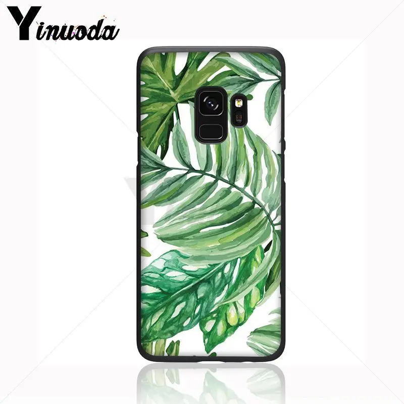 green plant leaves