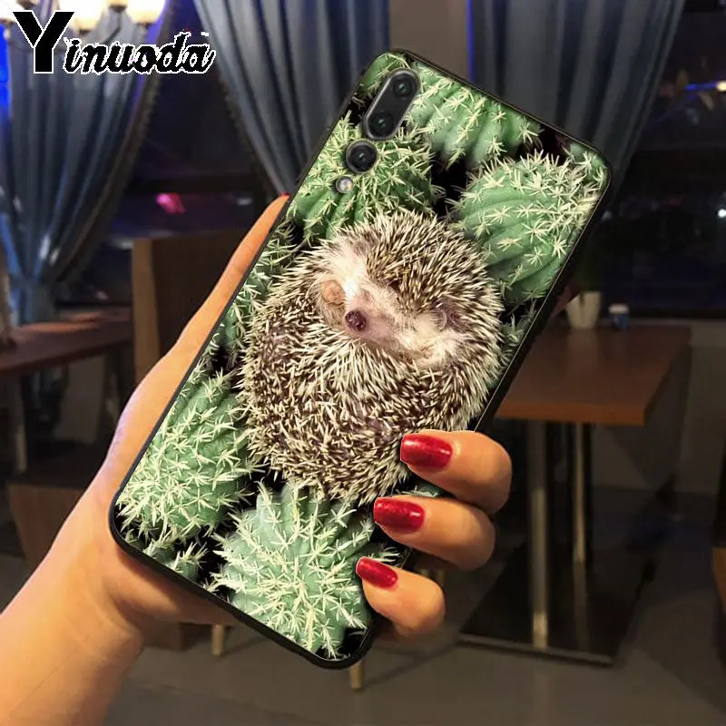 Hedgehog ride a bike Cute in Teacup Animal Art