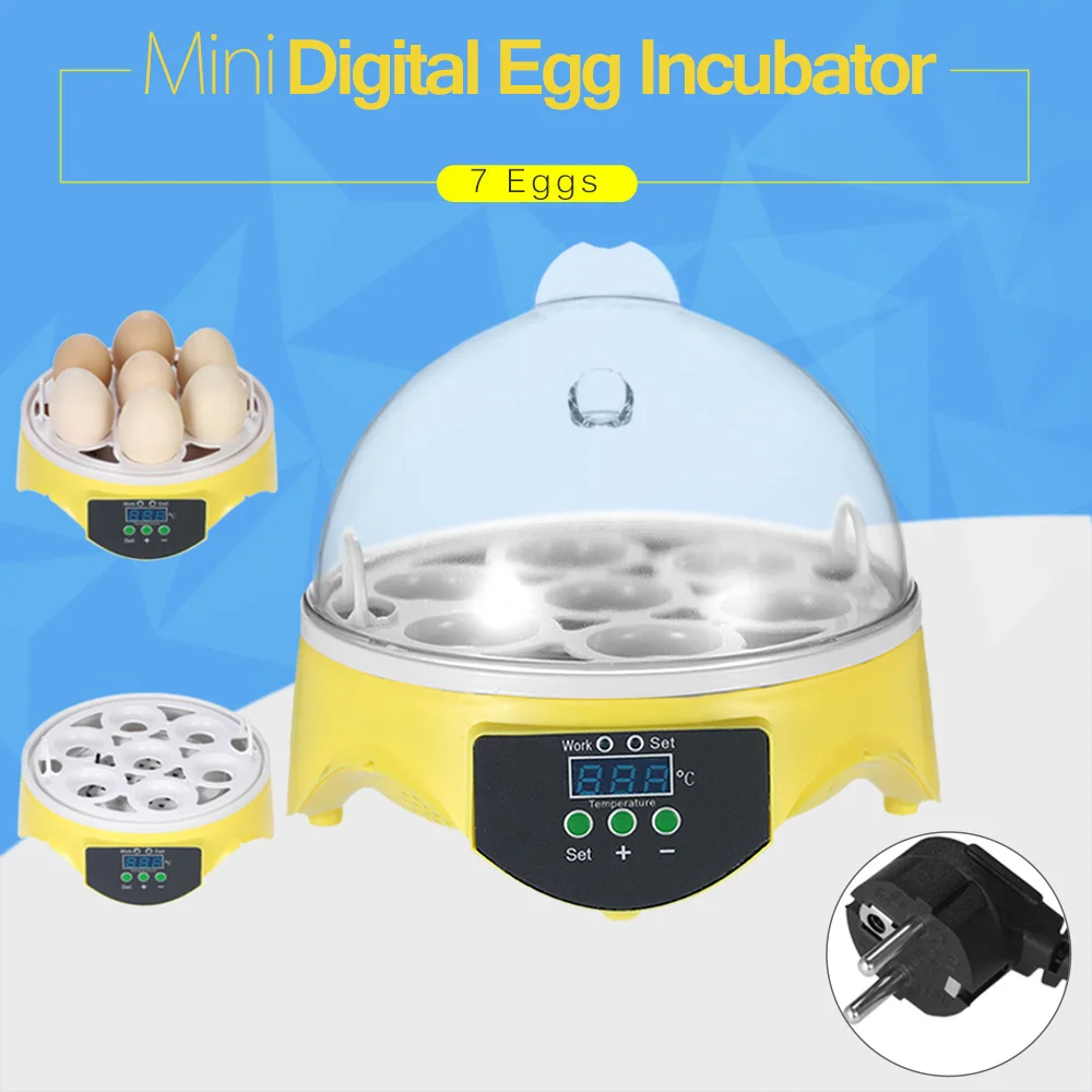 7 Eggs Incubator Hatcher Transparent Eggs Hatching Machine Automatic Temperature Control for Chicken Duck Bird Eggs 7 Eggs Incubator Hatcher Transparent Eggs Hatching Machine Automatic Temperature Control for Chicken Duck Bird Eggs