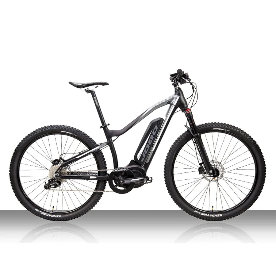 Perfect Custom  Presale Electric mountain bicycle 500W bafang mid motor EBikes Uphill Bike ULTRASYSTEM electric bicycle 10 speed 1