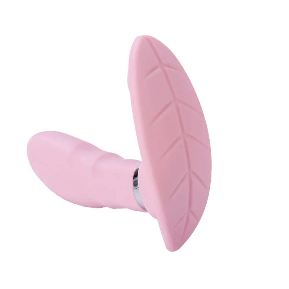 Wearable G Spot Vibrator Wireless Remote Control Vagina Ball Female Electric Massager USB Rechargeable Adult Sex Toys for Women (1)
