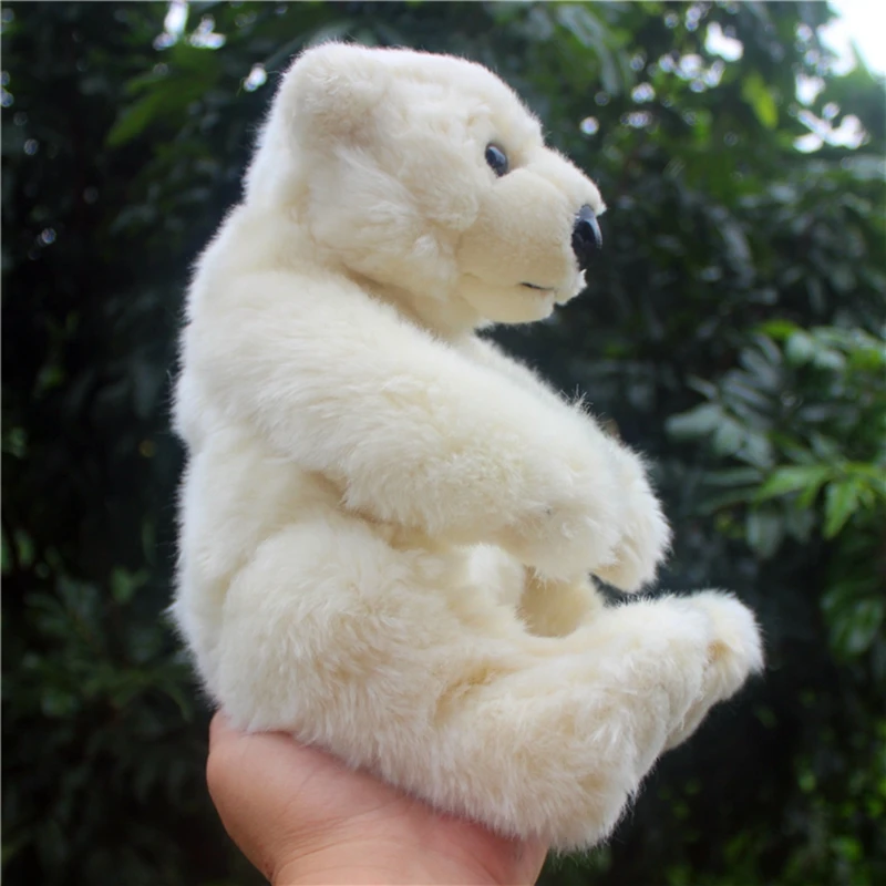 kawaii polar bear plush toy doll girl doll animals bear dolls white bear hug pillow children birthday gift 11inch 28cm DY50396 (4)