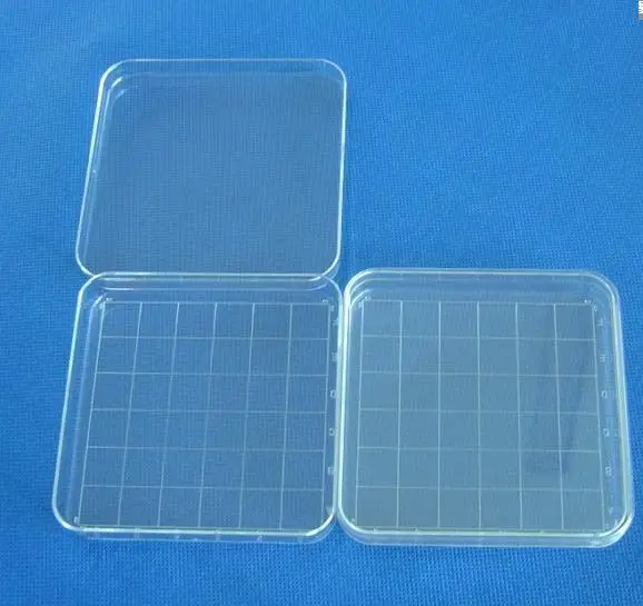 10pcs clear 10*10cm square plastic petri dish with cover,culture dish