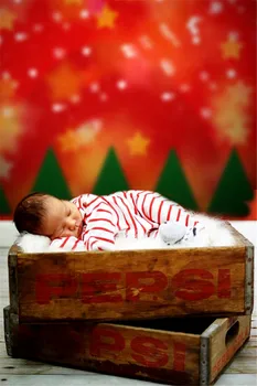 

Newborn Baby Vinyl Backdrops for Photography Custom Wood Floor Background Studio Fire Wall Golden Star Green Pine Fotografia