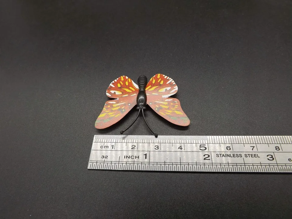 I255-Butterfly (12)