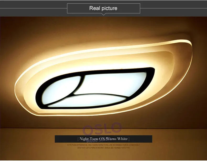 leaf-ceiling-light-_09