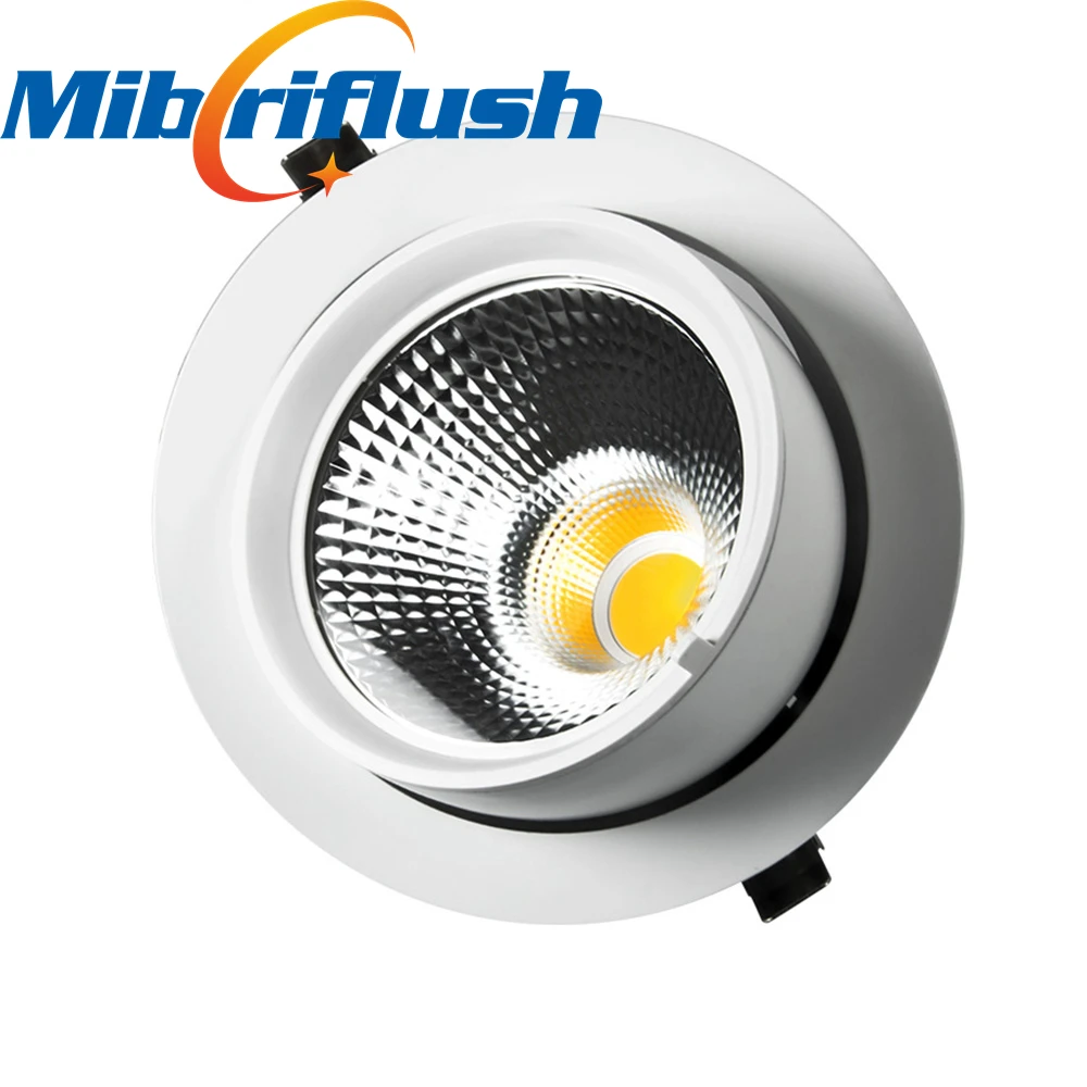 Triac Dimmable /0 10V Dimmable 130LM/W Led downlight COB Spot Light 30w
