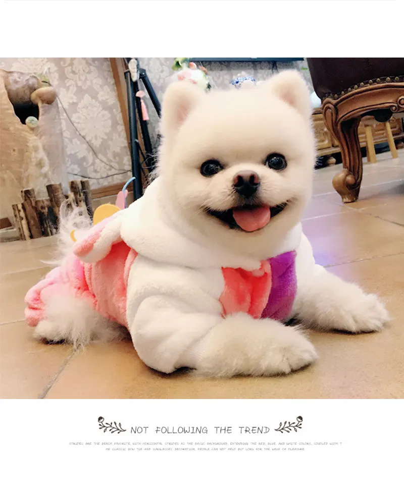dog jackets outdoor