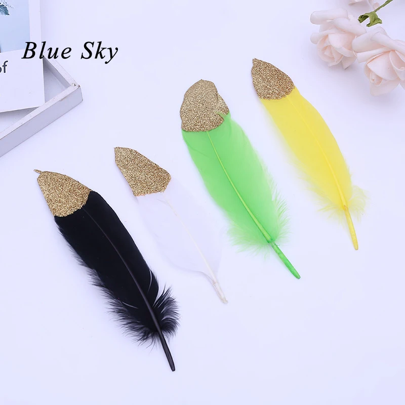 Blue Sky 50 Pcs Colorful Feathers Shadows White Goose Feather Spray