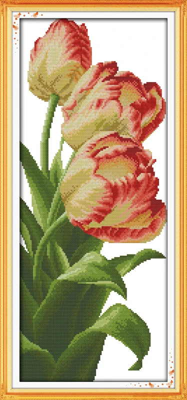 

Tulip (3) Flowers Cotton Canvas DMC Cross Stitch Kits 11CT 100% Accurate Printed Embroidery DIY Handmade Needle Wall Home Decor