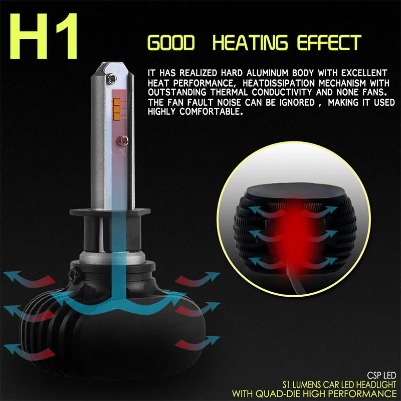 H1  (10)