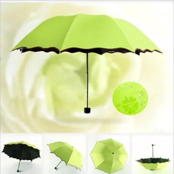 

Creative Blossom In Water Black Glue Anti - Ultraviolet Sunshade Umbrella Add Help Umbrella Only Beautiful Magic Umbrella