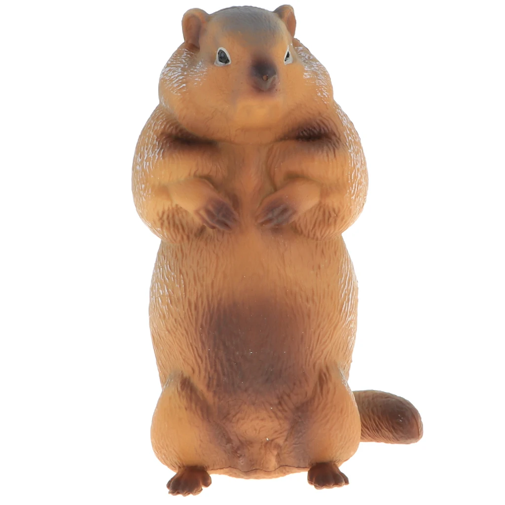 2pcs Simulation Wildlife Animal Model Figurine Kids Science & Nature Toy Collection Home Decoration Party Favors- Marmot