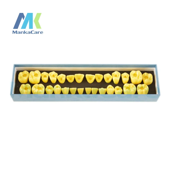 

Manka Care - Using the tooth of 4 times the natural size to demonstrate pulp opening positioning. Made of imported resin