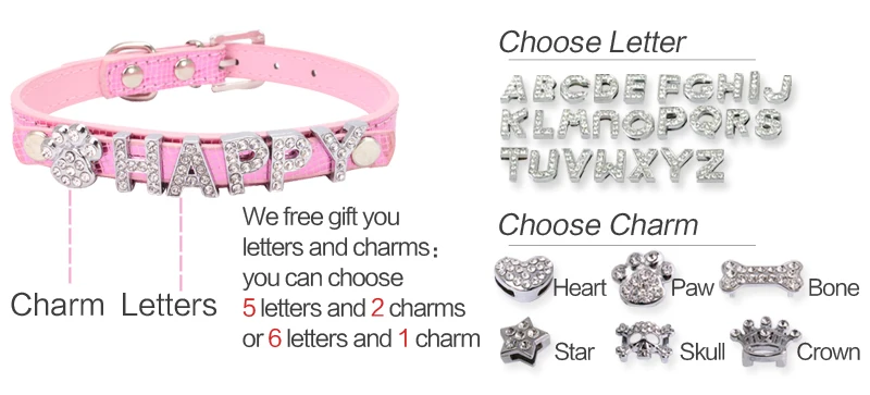 dog collar with name 