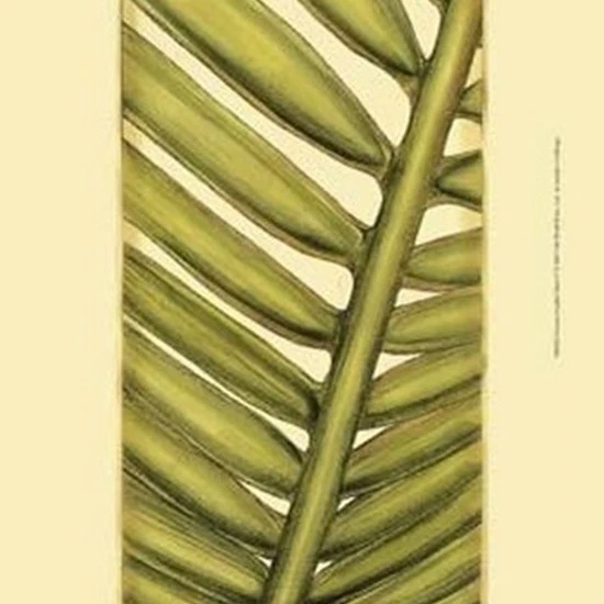 Custom Graphic Palms V Poster Print by Jennifer Goldberger (13 x 19)