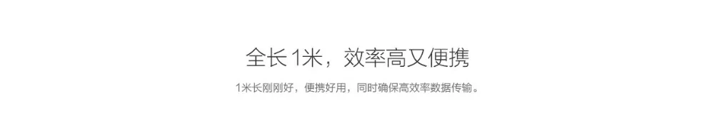 Original Xiaomi USB Cable MFI  (10)