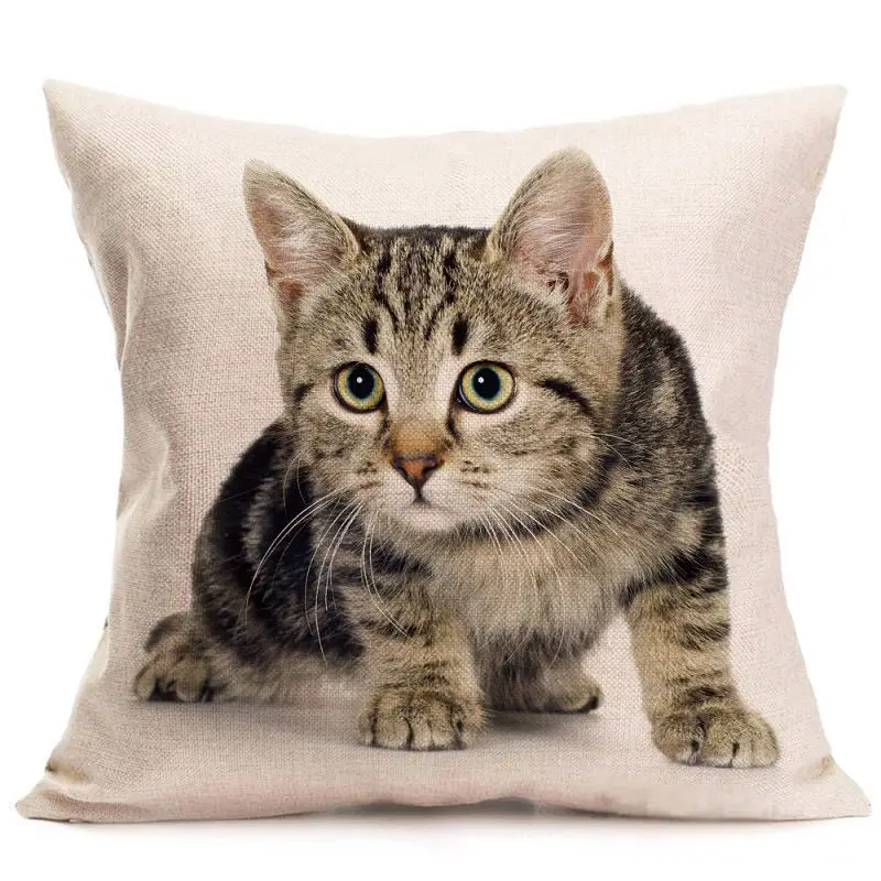 Cute Cat Pillow Case Animal Black Cat Cushion Cover Pet Pillow Covers for Home Car Decorations Pillowcase
