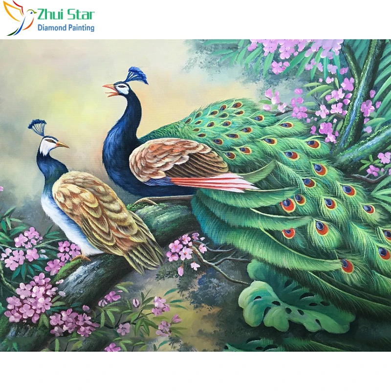 5500 Koleksi Gambar Burung Merak Dua Dimensi HD