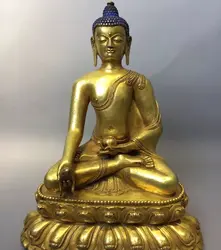 Китай Антикварные Тибет Свинка Шакьямуни Амитабха Будда Медь Статуя