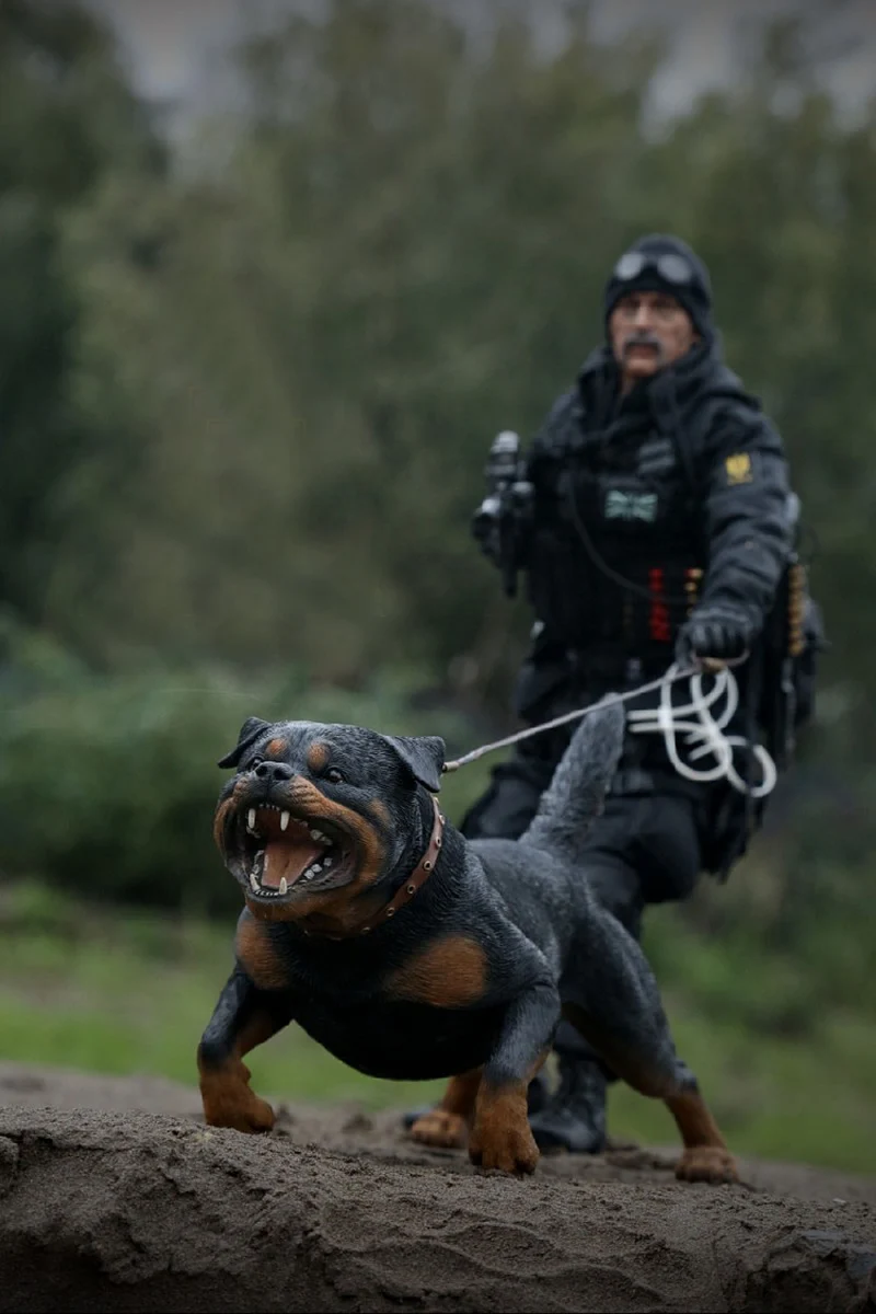 2 Pièce Figurine Réaliste Modèle Animal Rottweiler en Plastique Jouets