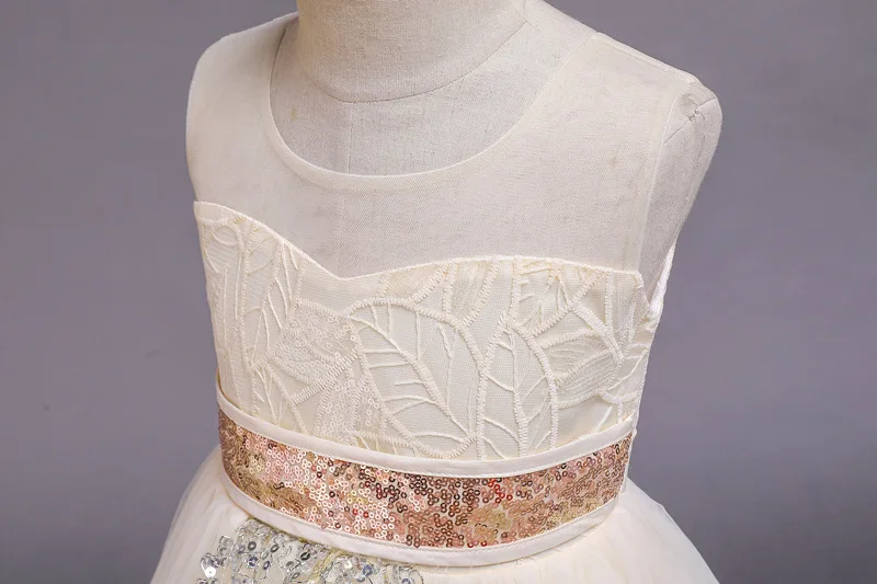 11563769602_1498729419