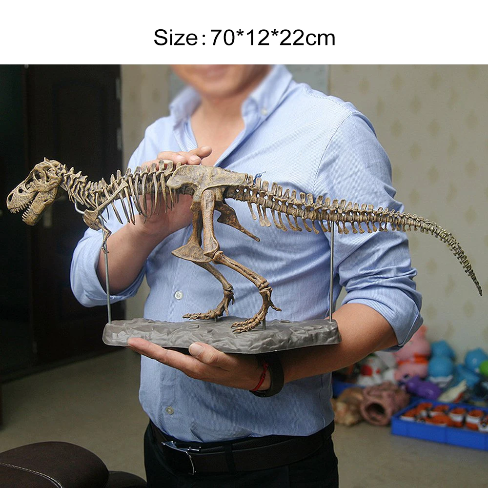

70cm Large Dinosaur Fossil Skull Toys Skeleton Model Building Kit Tyrannosaurus rex Assembling Dinosaurs Model Decoration Toys