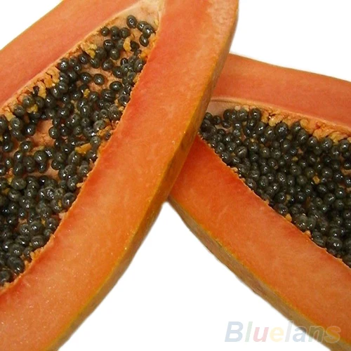 Семена Папайи Купить В Аптеке