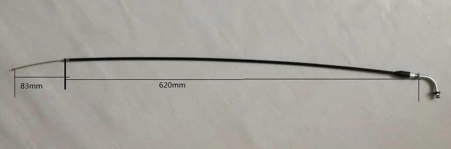 hzc1