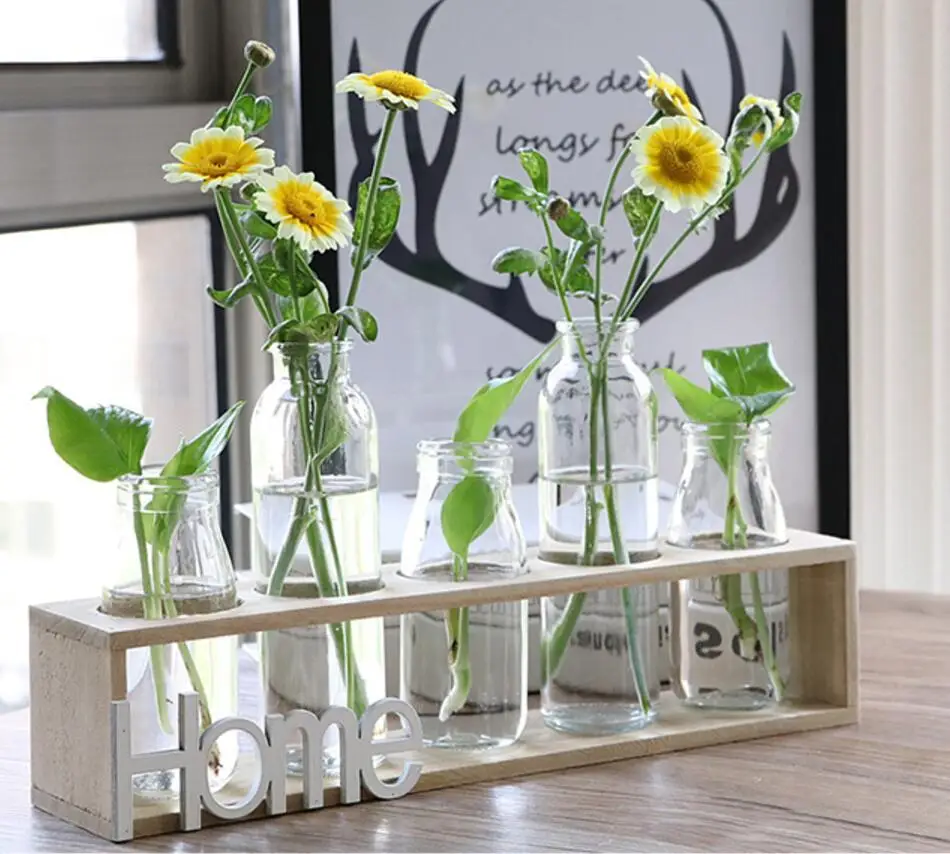 Tabletop 5 Pieces Glass Vase Water Plant Containers Glass Plant