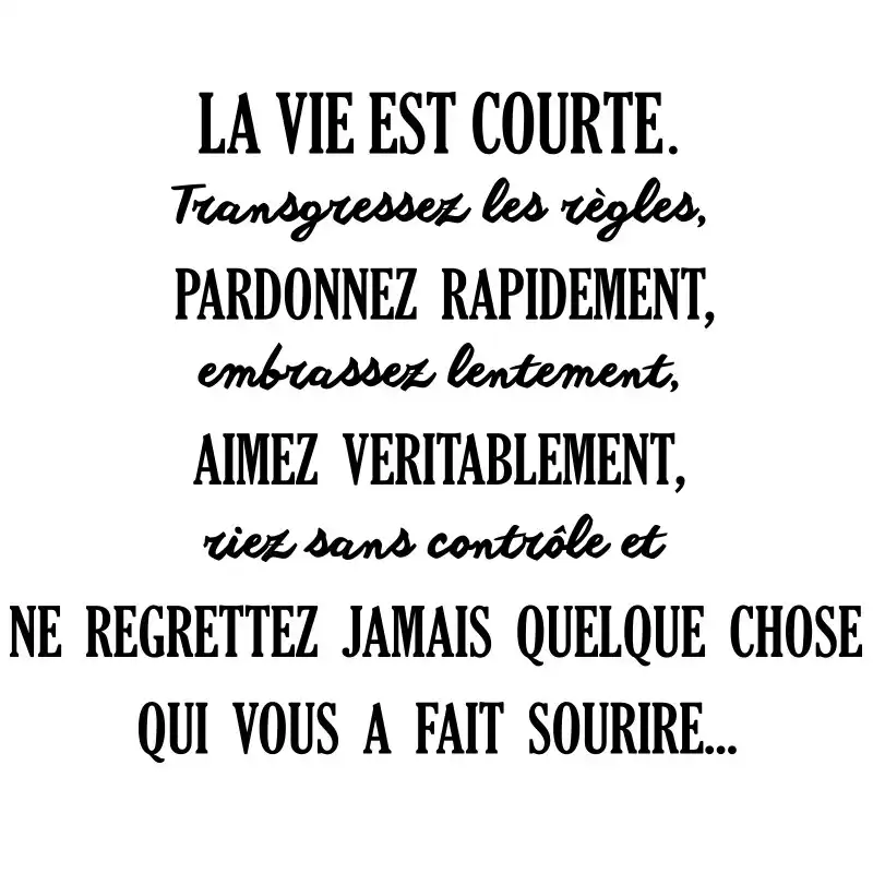 Diy Non Toxic French Character Words Quote Citation La Vie Est Courte Wall Sticker Wall Art Mural Of Home Decoration Wall Stickers Aliexpress Diy Non Toxic French Character Words Quote Citation La Vie Est Courte Wall Sticker Wall Art Mural Of Home Decoration Wall Stickers Aliexpress