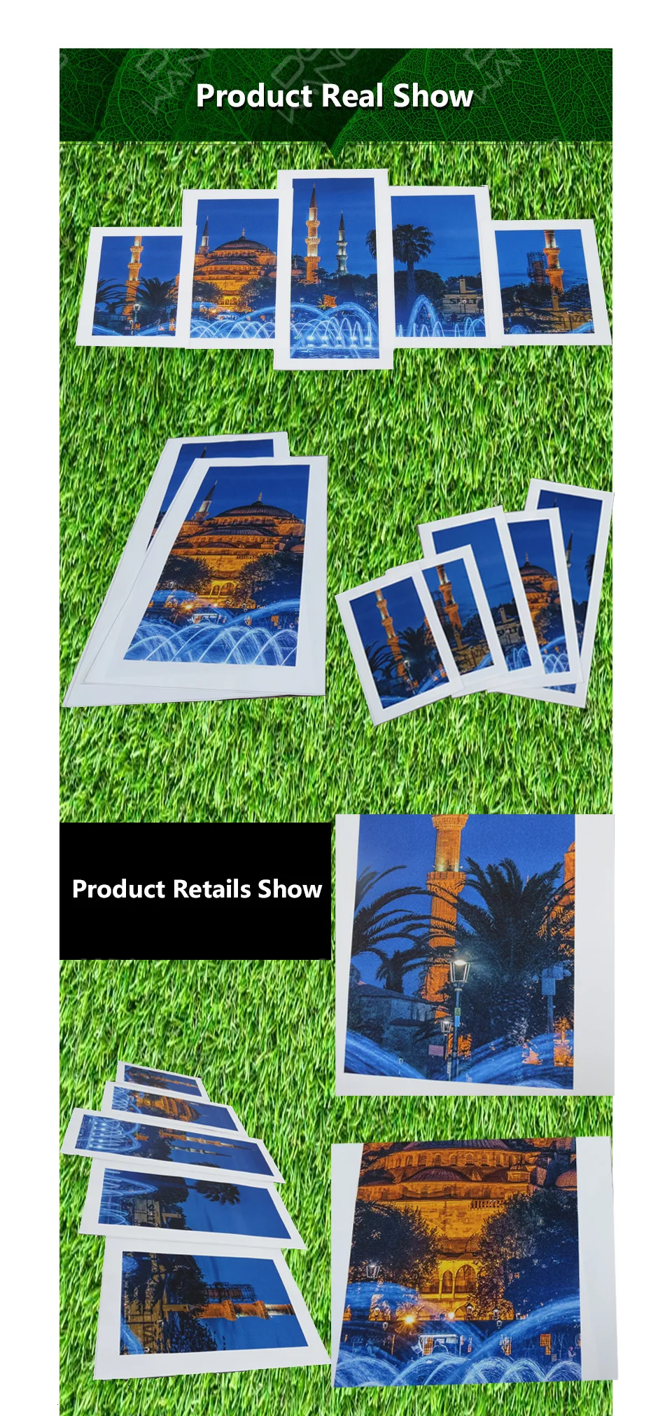 5panel  