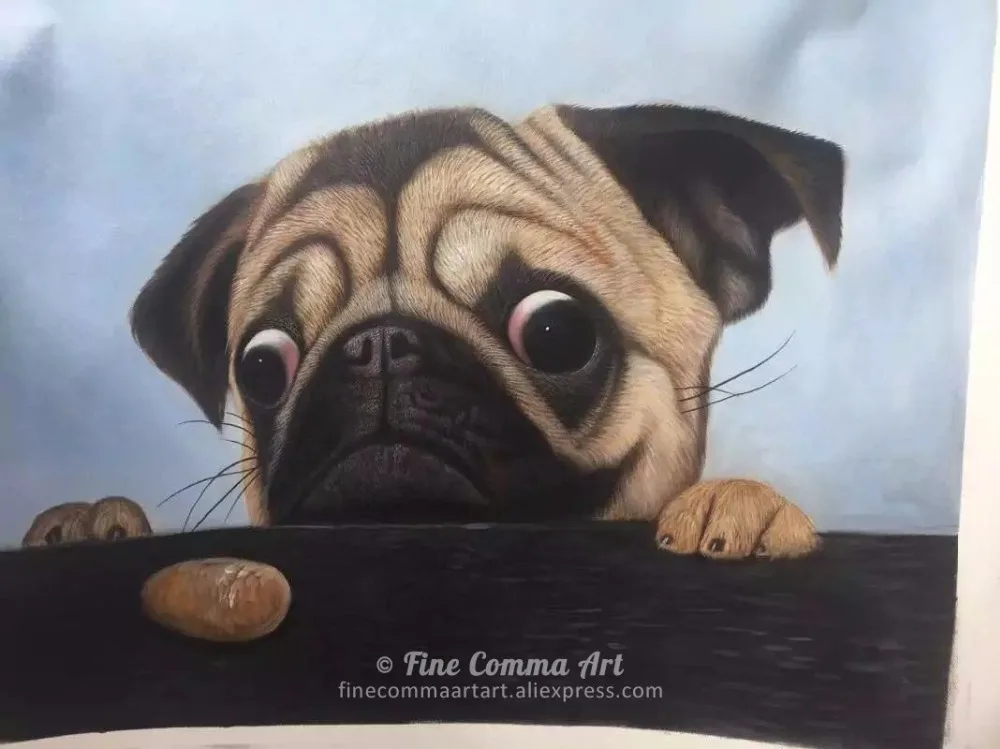 Dog_7