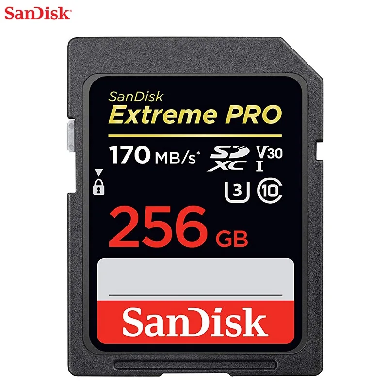 SanDisk SD карта 16 ГБ 32 ГБ 64 Гб 128 ГБ 256 Гб карта памяти 80 МБ/s-95MB/с для Canon Nikon SLR Камера Съемки 4K видео - Емкость: 170MB--256GB