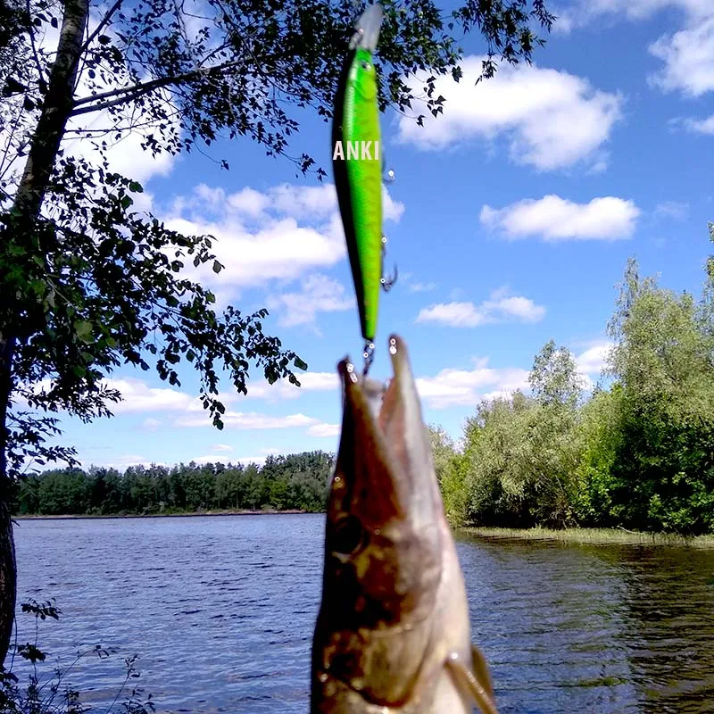 fish3