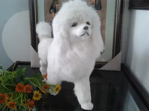 

simulation poodle toy about 36x28cm white dog real fur model ornament home decoration gift h1397