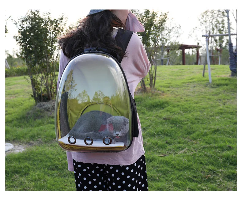 9376113294_1814247116