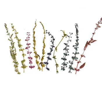 

100pcs Pressed Dried Flower Thymus mongolicus Ronn Filler For Epoxy Resin Pendant Necklace Jewelry Making Craft DIY Accessories