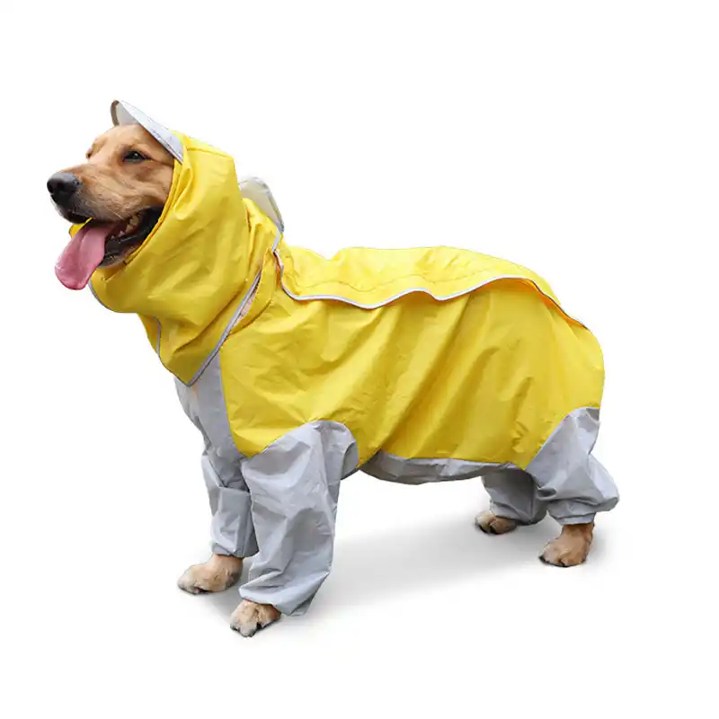 Aliexpress chubasquero perro Clearance