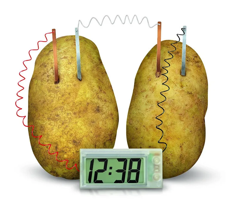 Horloge de pomme de terre roman vert Science projet expérience Kit laboratoire maison école jouet drôle éducatif bricolage matériel pour enfants enfants