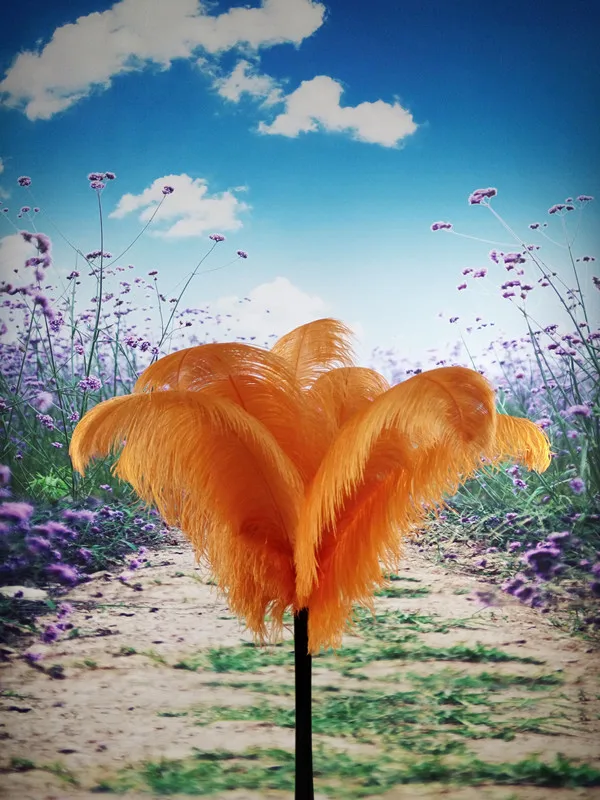 10 шт. высокое качество Природный страусиных перьев 10-12 дюймов/25-30 см свадебные украшения для выступления Костюмы аксессуары - Цвет: Оранжевый