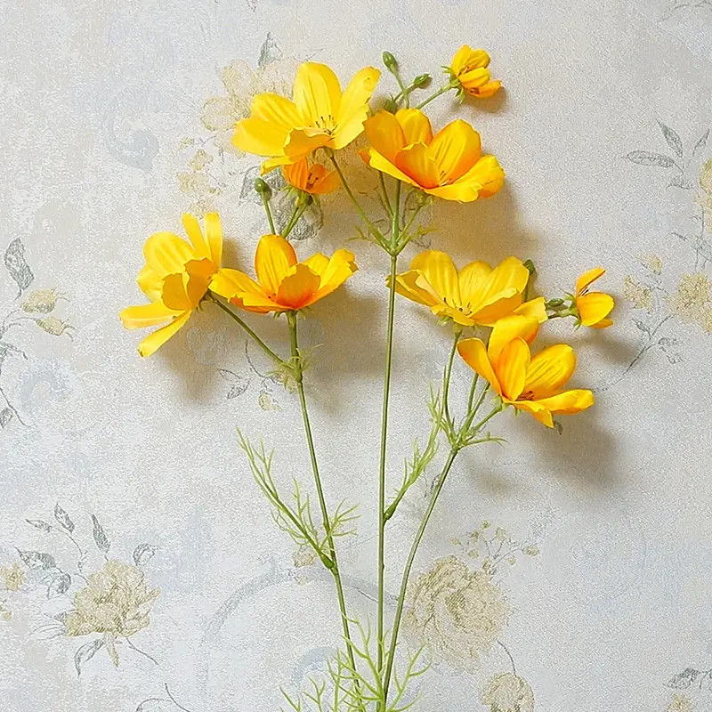 persian magic flowers