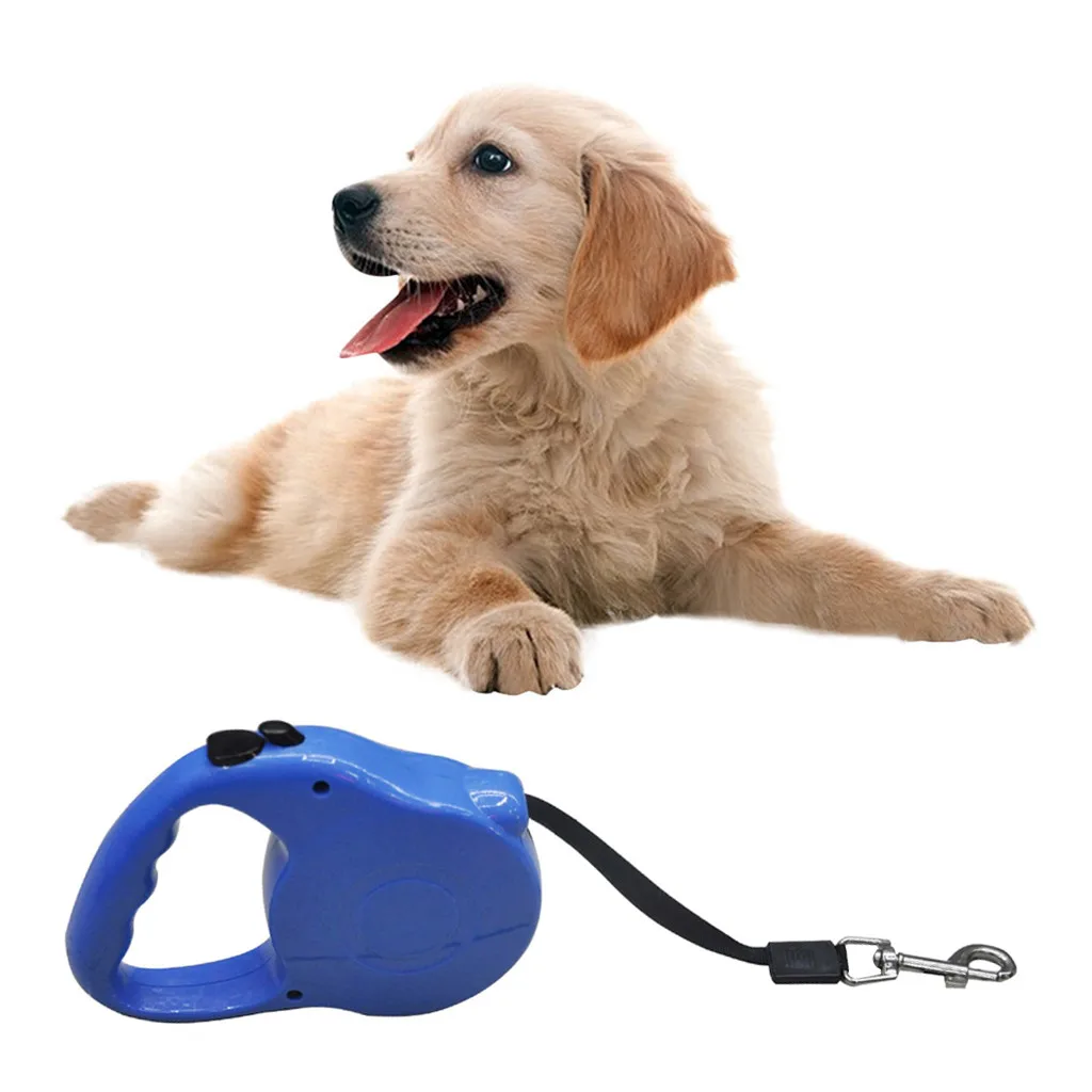 Pet Dog Cat Новая автоматическая выдвижная Тяговая веревка для ходьбы, безопасный поводок товары для животных