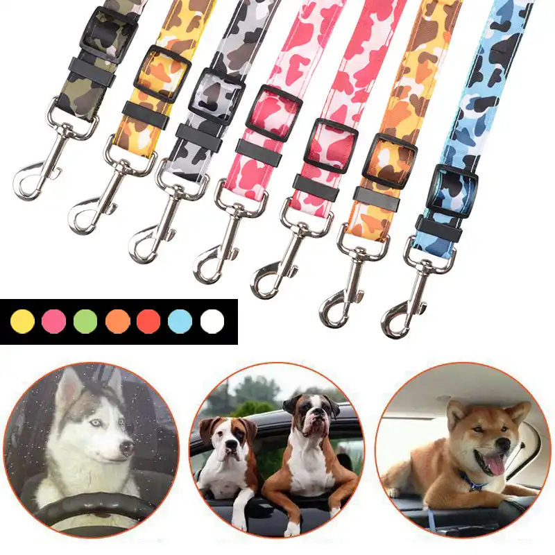 dog belt for sale